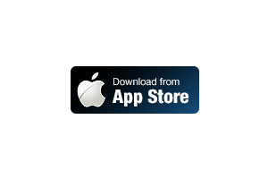 Brochure icon